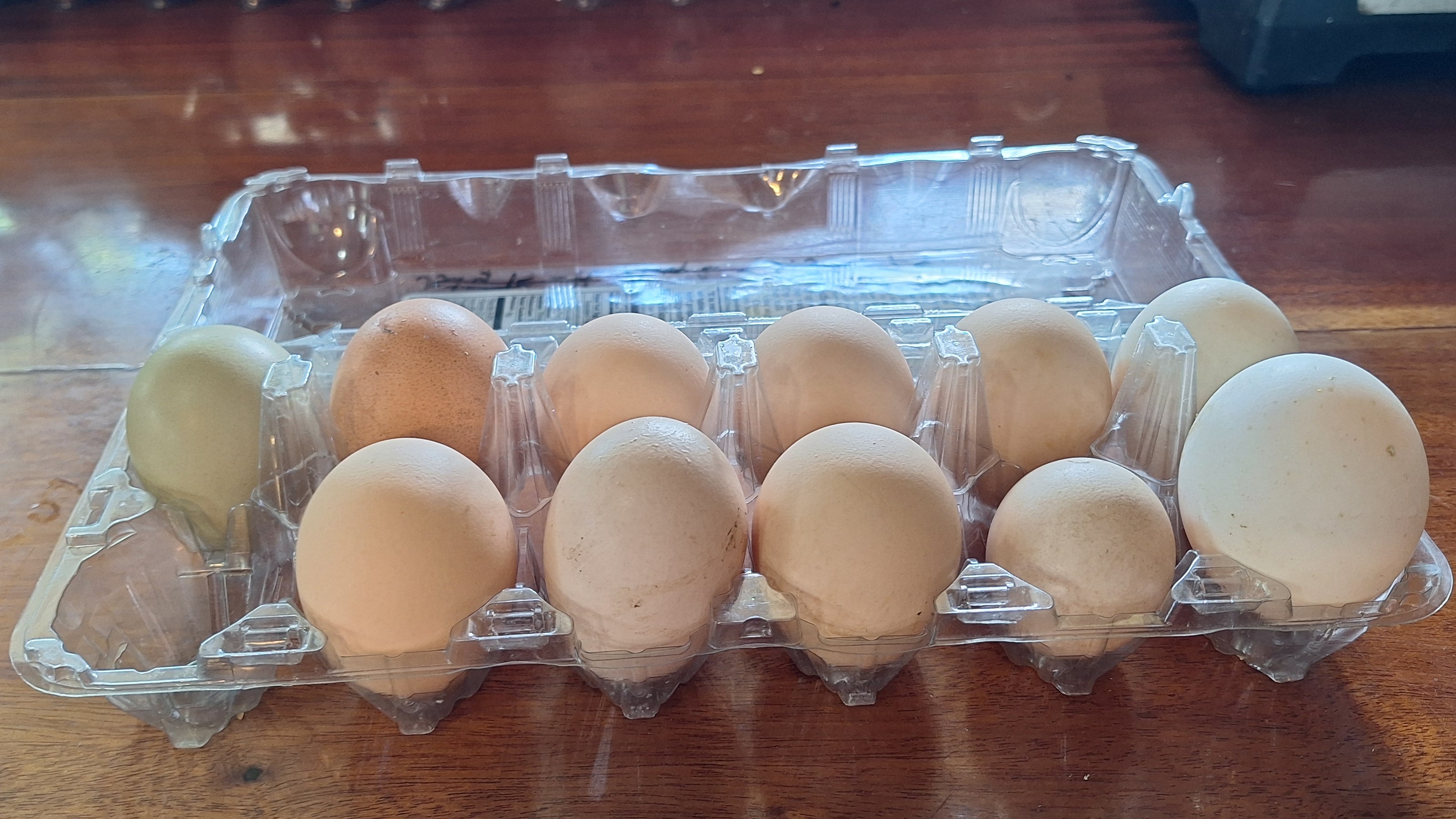 Almost a dozen eggs